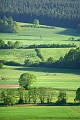 175_7536_gruene landschaft